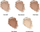 Компактна пудра Clinique Stay Matte Sheer Pressed Powder, Oil Free, 7.6g, нијанса 03 Stay Beige