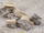 Juveela Old Wooden Crates, arka të vogla druri, set me 10 copë, ngjyrë e çelët edhe e errët