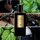 Parfum për burra Saphir Elite Your Adventure, Eau de Parfum, 100 ml