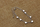 Byzylyk Troli Pearls