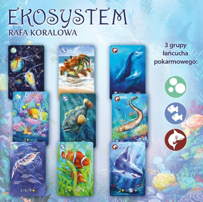 Lojë me letra Nasza Księgarnia Ecosystem 2 Coral Reef, familjare, version polak