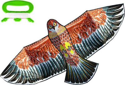 Fluturë ajri AG667B Eagle XXL, 160cm, me litar kontrolli, shumëngjyrëshe