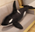 Lodër pelushi LEAN TOYS Orca Oceanica, 50cm, balenë, e zezë me të bardhë
