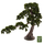 Bimë sintetike Beauty Pine (BONSAI) në vazo (HM7976)