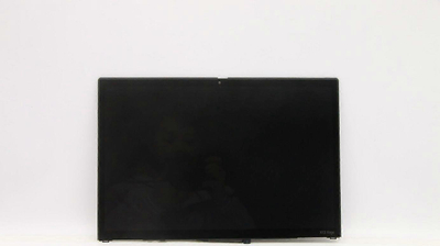 Pjesë zëvendësuese Lenovo Lynx-1 FRU TP, për modele 20W8 20W9, origjinale
