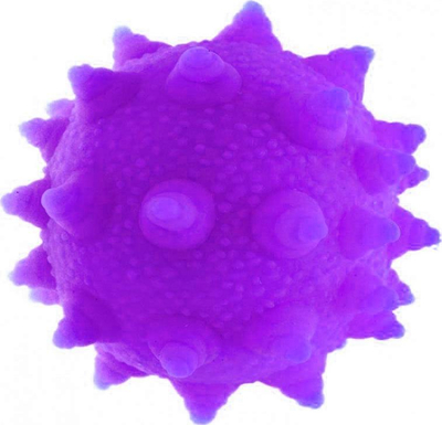 Top antistres Midex Squishy, me gjemba, 8 cm, shumëngjyrësh