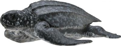 Figurë lodër Collecta Leatherback Turtle, breshkë e detit, shumëngjyrëshe