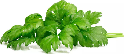 Kapsula me bimë Click &amp; Grow Leaf Celery, set me 3 copë, jeshile