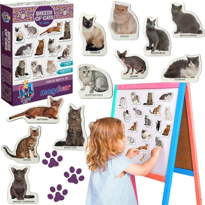 Set magnetik Magdum Cat Breeds ML4031-13, 22 magnetë, shumëngjyrësh