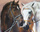 Mozaik diamant kreativ Two Horses, pikturë dekor, efekt 3D, shumngjyrësh