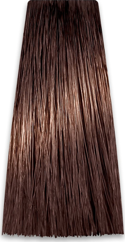 Ngjyrë flokësh Chantal Art Color Prosalon 6.07, 100 ml, për flokë, për parukierë