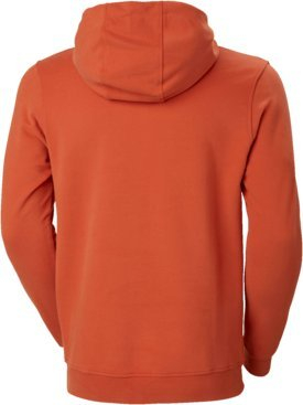 Bluzë me kapuç Helly Hansen Box Classic Cotton, pambuk, për burra, portokalli