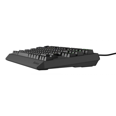 Tastierë gaming Genesis Thor 230 TKL, mekanike Outemu Brown, RGB, e zezë