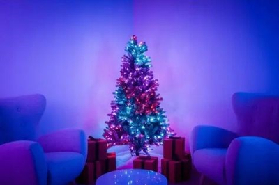 Pemë Krishtlindjeje Twinkly Pre Lit Tree 1.5m, 270 LED RGB, IP20, shumëngjyrëshe