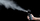 Lëng për makinë tymi PMI Cloud Formula, 100ml, për SmokeGENIE dhe SmokeNINJA