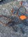 Shkëndijues zëvendësues Light My Fire FireSteel për FireKnife Bio, 60mm, bioplastikë me fibra kokosi, jeshile Sage