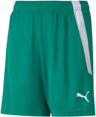Shkurta sportive për fëmijë Puma teamLIGA Jr 704931 05, poliestër, DryCell, jeshile