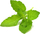 Билни капсули Click &amp; Grow свет базилик, сет 3 парчиња, за Smart Garden