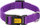 Qafore Red Dingo Energy, 20–32 cm, najlon, vjollcë