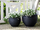 Vazo zbukuruese ZAKROS Stone Plant Pot, 38x38x30 cm, e zezë