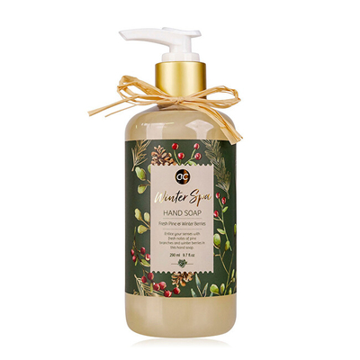 Sapun i lëngshëm për duar Accentra Winter Spa, 290 ml