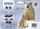 Bojë printeri Epson 26 Multipack, CMYK, origjinale