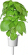 Kapsula bimore Click & Grow Marseille Basil, për kopsht smart, pako me 3 copë, jeshile
