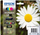 Ngjyrë Epson 18XL CMYK C13T18164012, 3 x 6.6/11.5ml, shumëngjyrëshe