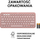 Set tastierë dhe webcam Logitech Pebble Keys 2 K380s dhe Brio 100, Bluetooth, Full HD 1080p, gri
