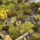 Set dekorativ Gamers Grass Highland Tuft Wild, 5 shirita, bari statik, shumëngjyrësh