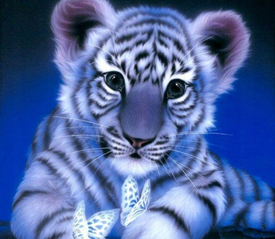 Set pikture me diamant Blue Tiger, 5D, tablo me tigër të vogël blu