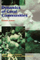 Dynamics Of Coral Communities - Ronald H Karlson