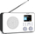 Radio TechniSat VIOLA 2 C IR, e bardhë