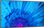 Monitor NEC MultiSync M431, 43 ", UHD 4K, i zi