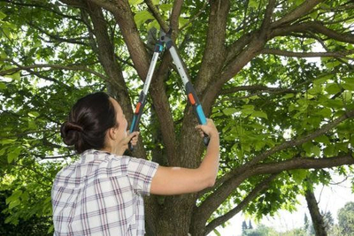 Gërshërë krasitëse Gardena TeleCut 520-670 B, me krahë teleskopikë 52-67 cm, pret degë deri në 4.2 cm