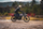 Helmetë moto CASSIDA Eso Forty Nine, e hapur neo retro, krem e zezë, 2026