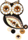 Brosh Owls, i zi/artë