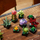 Set LEGO Creator Expert 10309 Succulents, 771 pjesë