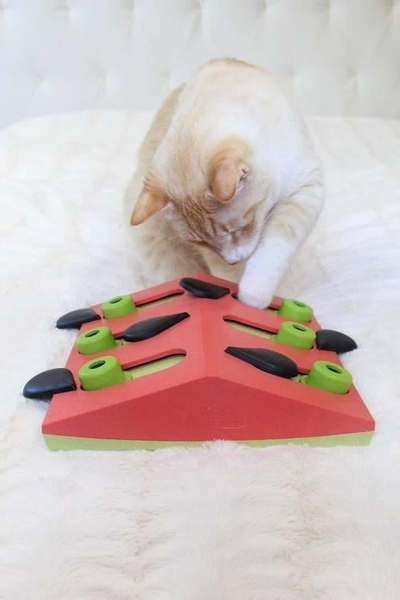 Интерактивна играчка за мачки Nina Ottosson Cat Melon Madness Puzzle and Play, Level 2, пластика, шарена