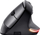 Maus Trust Bayo, wireless, USB, USB-C, i zi