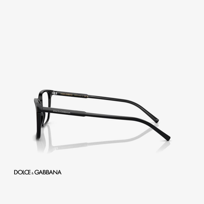 Dolce & Gabbana DG3365 501 54