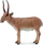 Фигура играчка Collecta Saiga Antelope 004-88808, пластична, повеќебојна