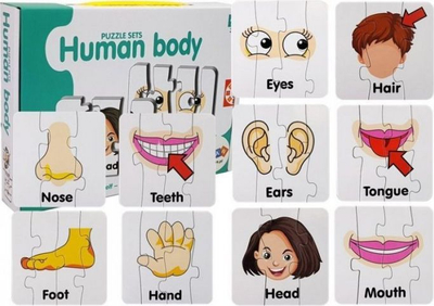 Puzzle edukativ Leantoys Human Body, 10 copë, pjesët e trupit, shumëngjyrëshe