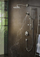 Dush fikse Hansgrohe Raindance Select S 240, krah 390mm, PowderRain, krom