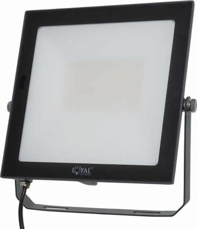 Reflektor i jashtëm LED Lumileds LY-FLE50, 50W, 7200 lm, IP65