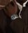 Orë për meshkuj Timex Waterbury TW2Y18500UK, e argjendtë