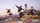 Loja PS5 Tony Hawk's Pro Skater 3 + 4, multiplayer online