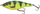 Harengë 3D Roach Jerkster 9cm 20g SS Firetiger PHP (62224)