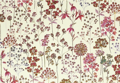Мали картички Peter Pauper Press Wildflower Meadow, сет 14 парчиња, со плик, шарени