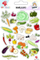 Stickera Dodo Vegetable, ngjitësa me perime për kalamaj, 100 x 150 mm, shumëngjyrësh
